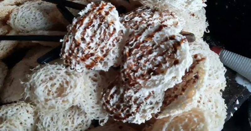 Youtube/ Ryvi Novita Sari